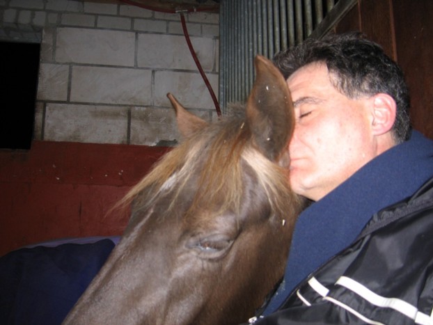 rockymountainhorse_whisper_gertjan