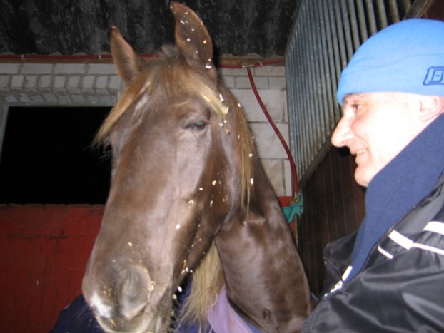 rockymountainhorse_whisper_gertjan